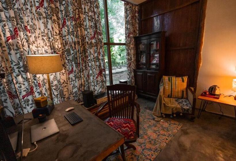 Casa 1 Quarto, Dancing Dugong