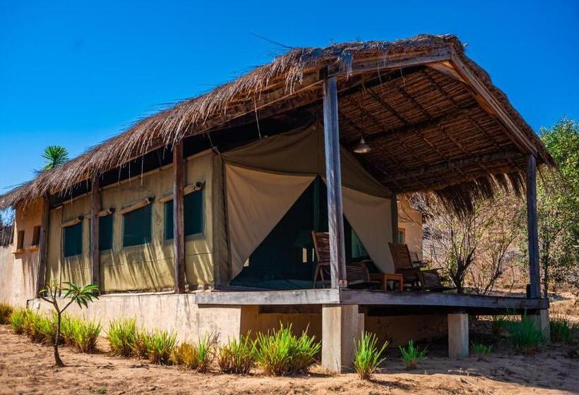 اتاق استاندارد, Satrana Lodge