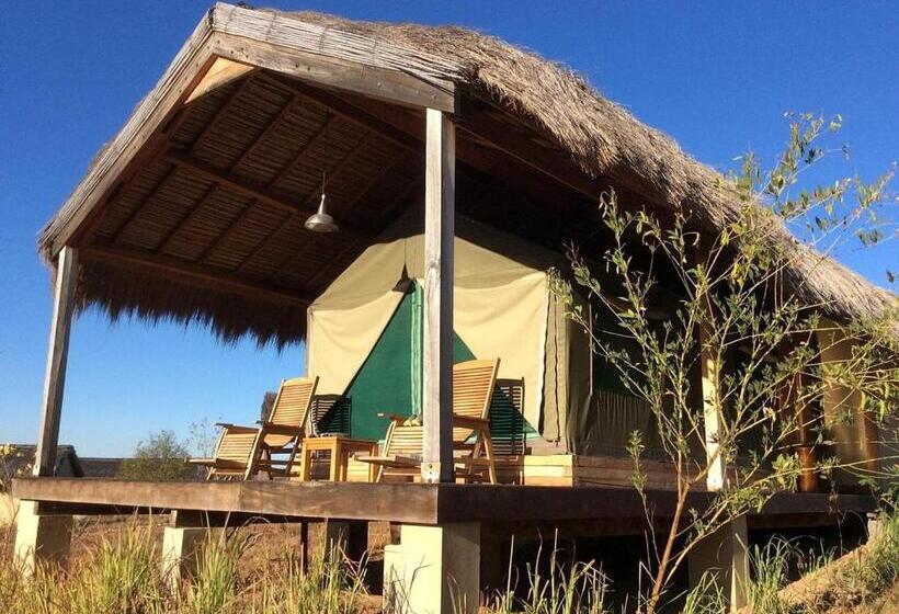 اتاق خانوادگی, Satrana Lodge