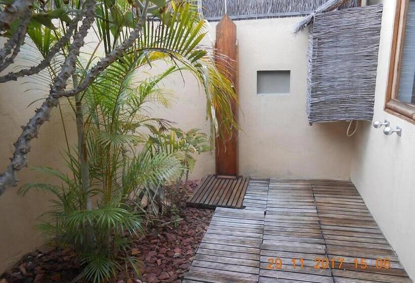 اتاق خانوادگی, Satrana Lodge