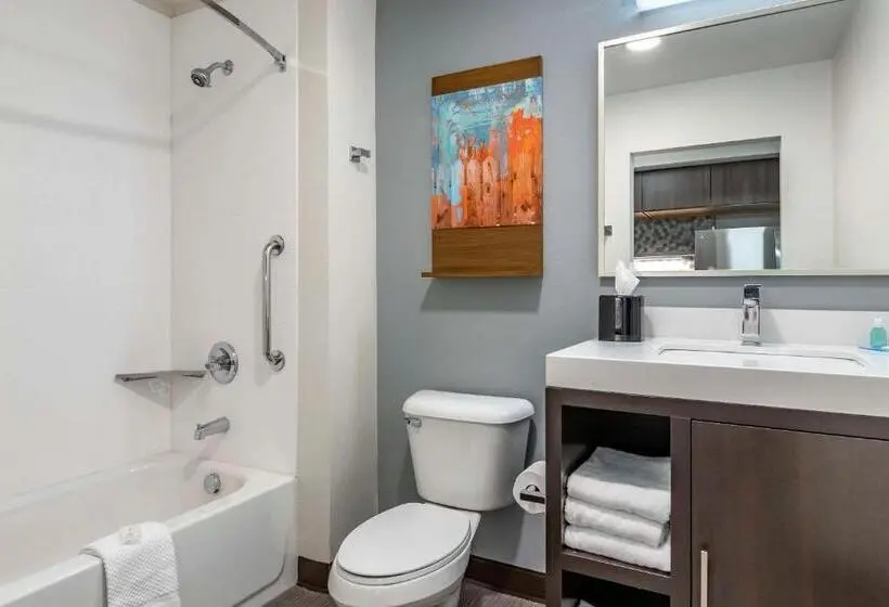 スイート, Mainstay Suites Milwaukee Franklin