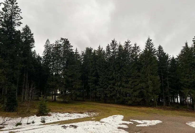 Standard-huone, Naturfreundehaus Brend
