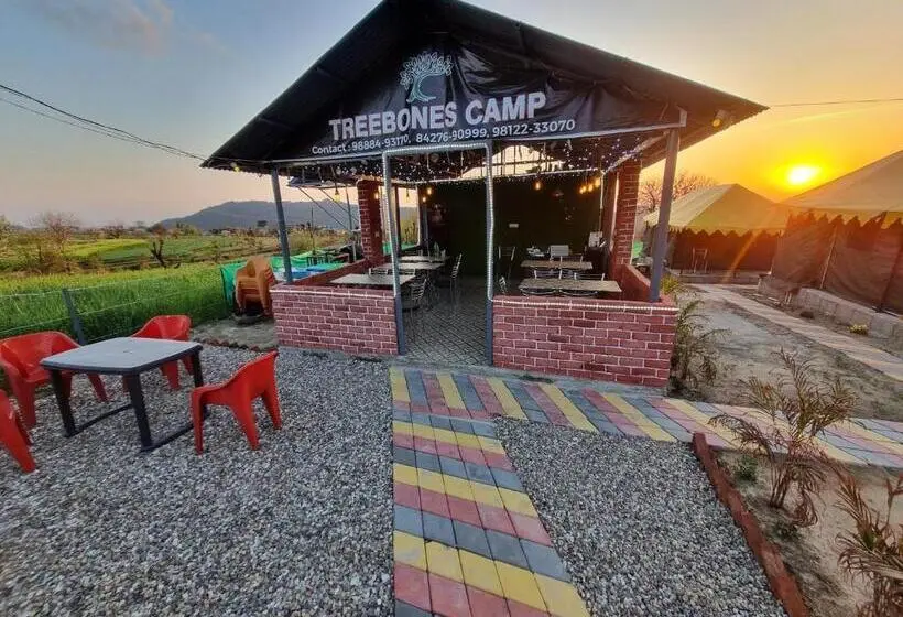 Habitació Estàndard Vista Muntanya, Tree Bones Camp