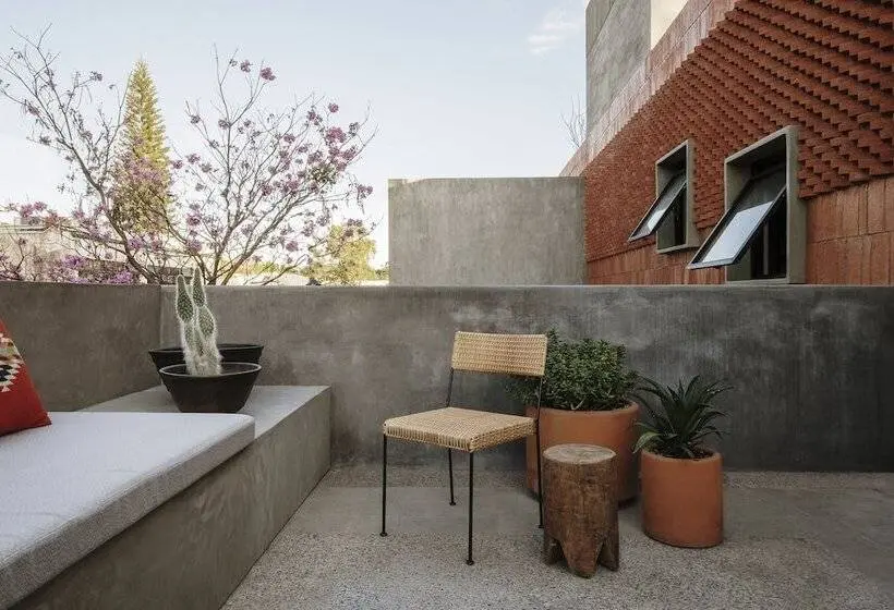 Superior-sviitti, Macondo Arte Oaxaca