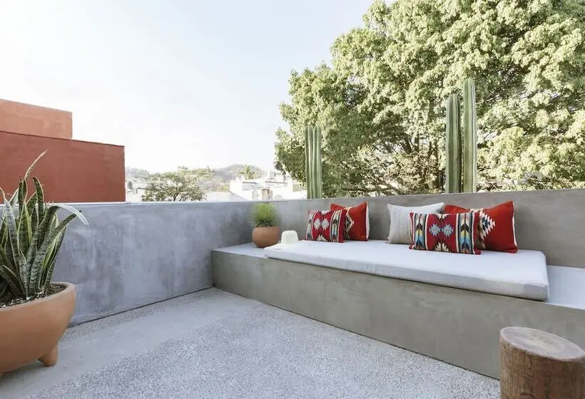 Superior-sviitti, Macondo Arte Oaxaca