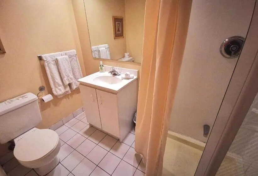 バスタブ付きスタンダードルーム, Motel Tremblant