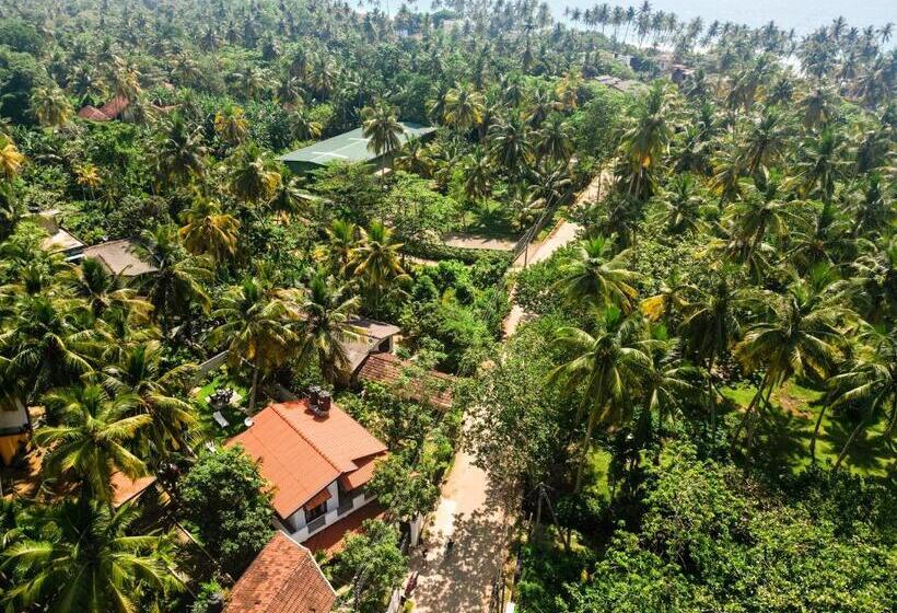 غرفة قياسية مطلّة علي الحديقة, Samadhi Garden