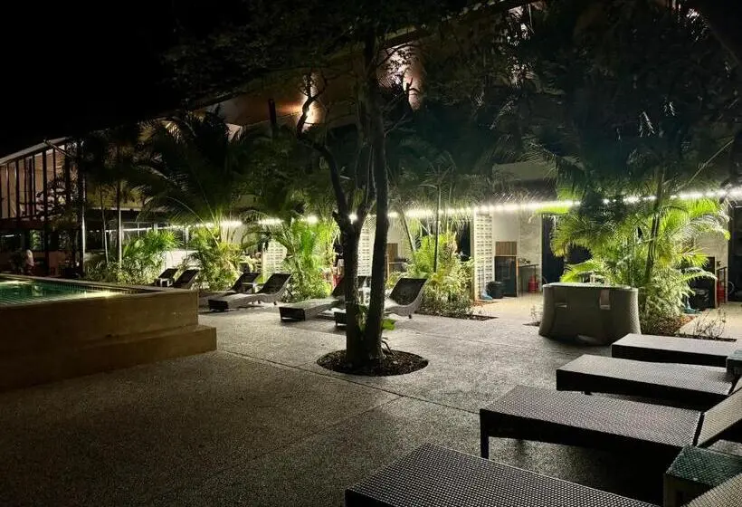 Estudio Estàndard, Aonangstudio 2