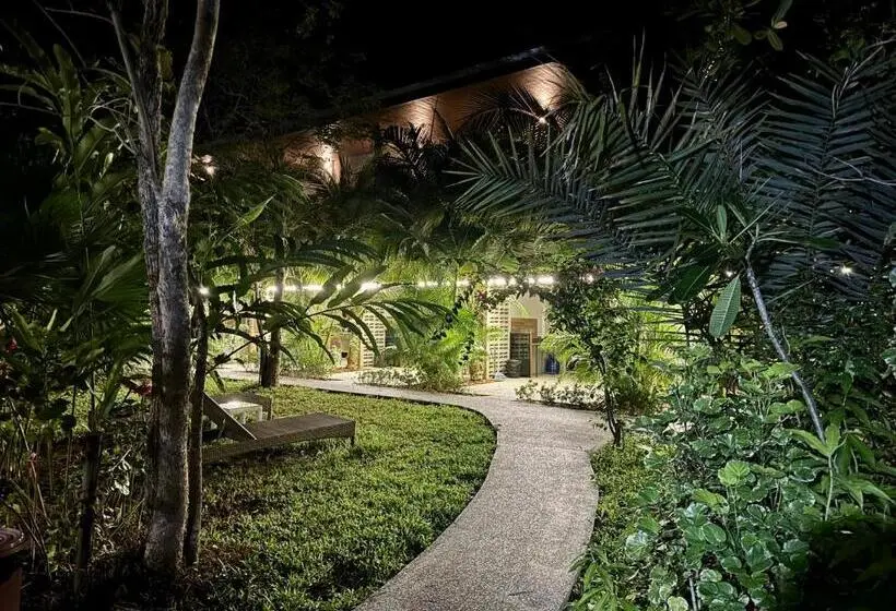 Estudio Estàndard, Aonangstudio 2