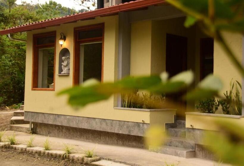 Номер Стандарт, Mindo Monasterium