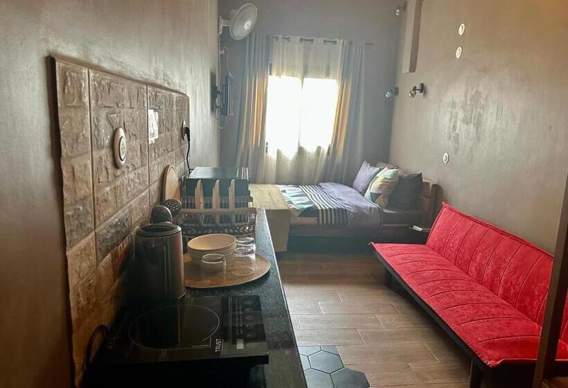 استودیوی استاندارد, N