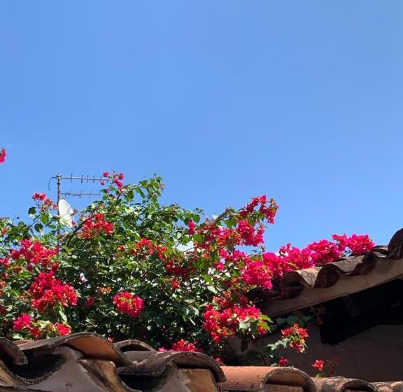 اتاق استاندارد سه نفره, Casa Hotel Dulce Candelaria