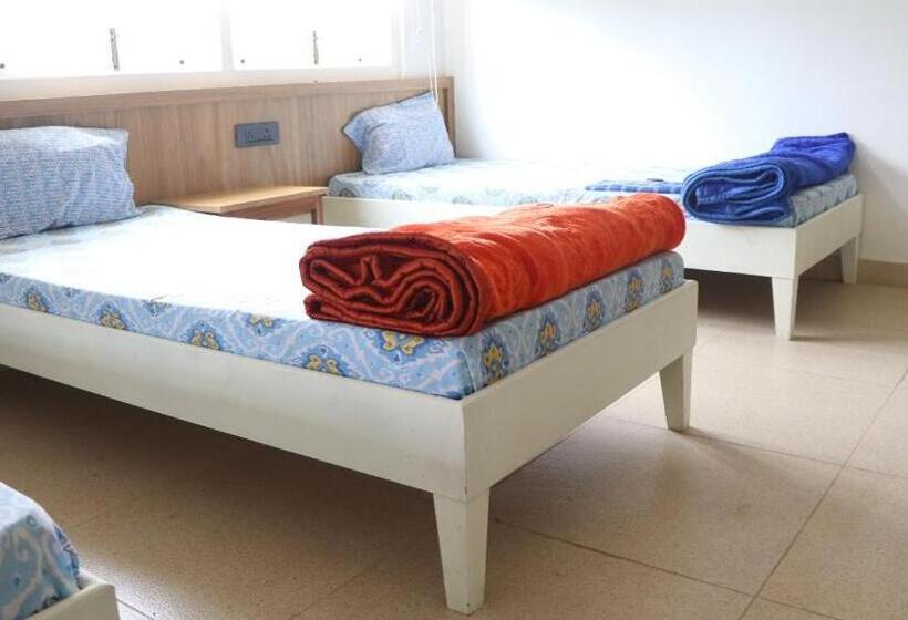 共用房间的床, Heirloom Guesthouse