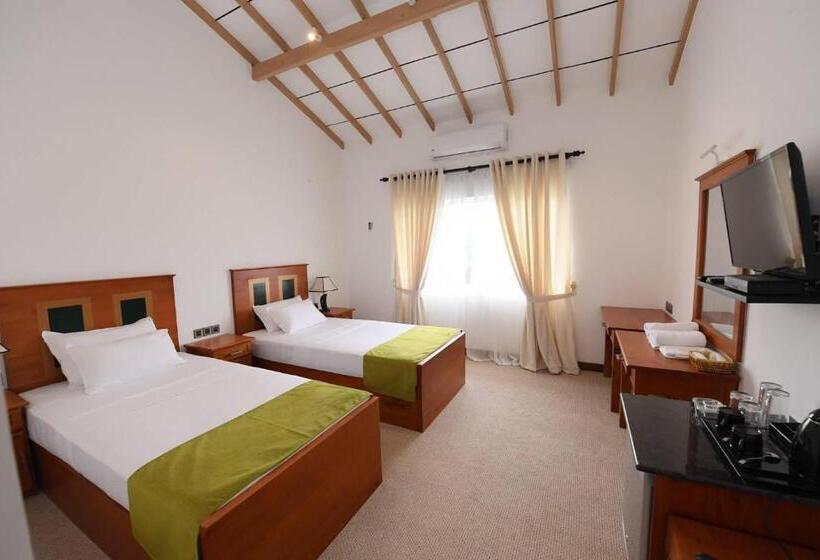 Номер Стандартный с Видом, Seasons