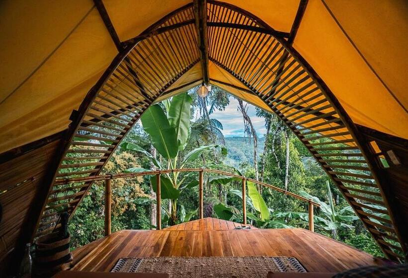 Номер Стандарт с Балконом, Jungle Gayborhood   Lgbtq Boutique Hotel And Retreat