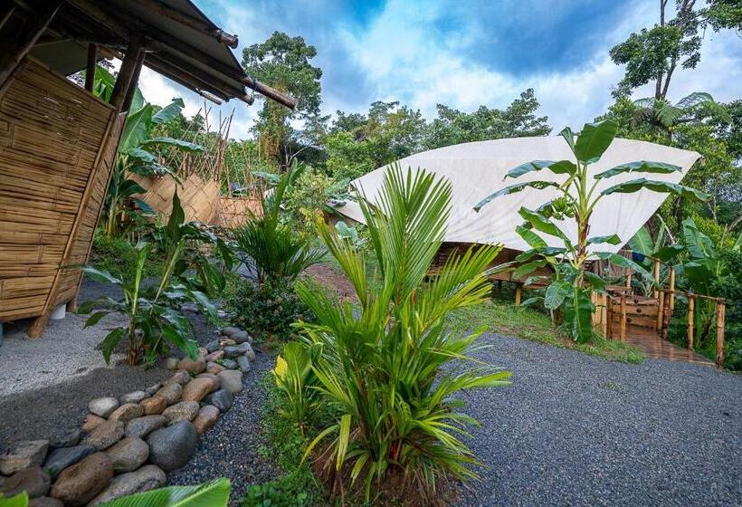 غرفة قياسية مزوَّدة بشُرفة, Jungle Gayborhood   Lgbtq Boutique Hotel And Retreat