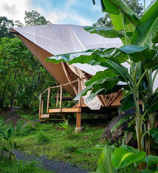 Номер Стандарт с Балконом, Jungle Gayborhood   Lgbtq Boutique Hotel And Retreat
