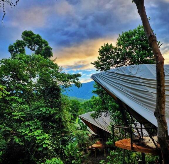 Люкс с Балконом, Jungle Gayborhood   Lgbtq Boutique Hotel And Retreat