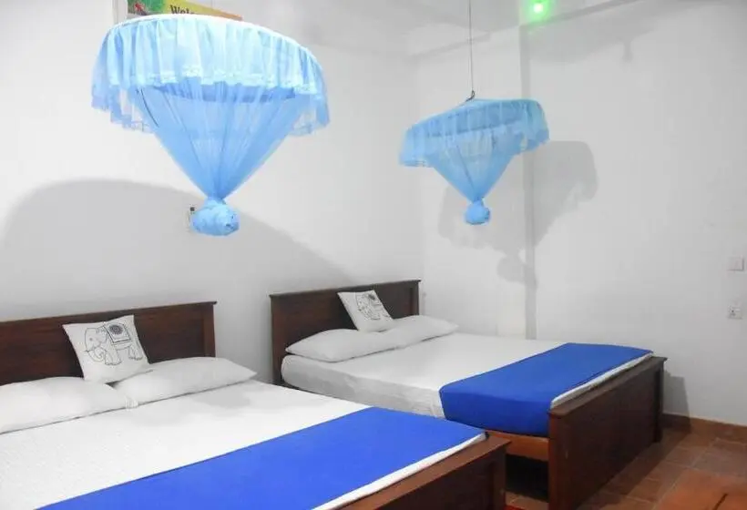 ファミリールーム, Queen Inn Anuradhapura