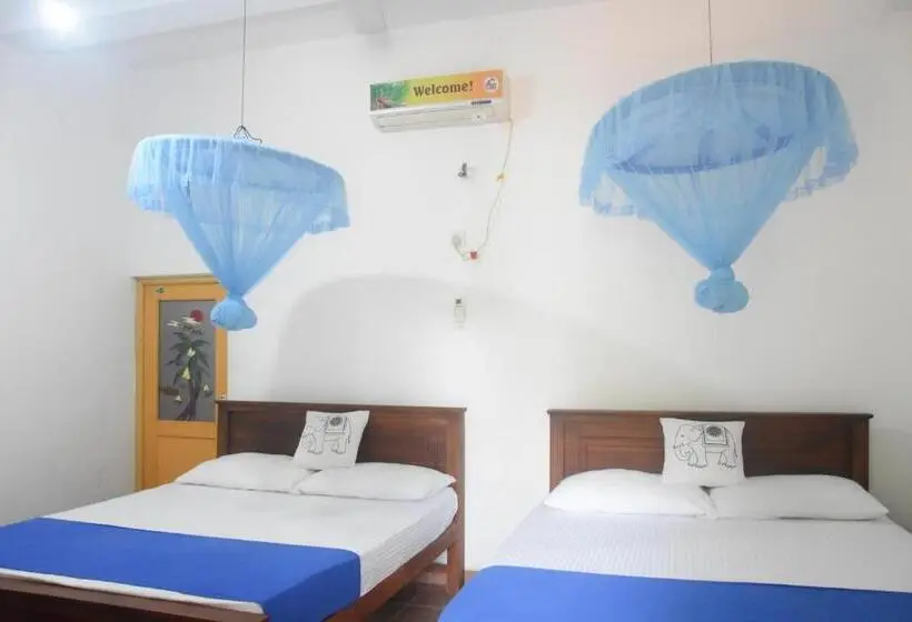 ファミリールーム, Queen Inn Anuradhapura