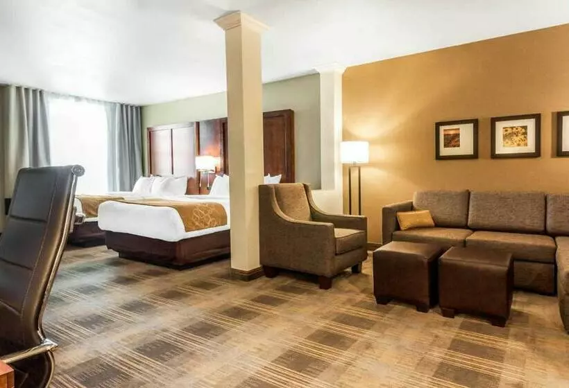 スイート, Comfort Suites University Brookings