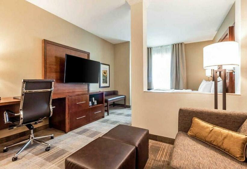 Люкс Адаптированный для Инвалидов, Comfort Suites University Brookings