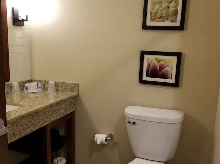 Люкс, Comfort Suites University Brookings