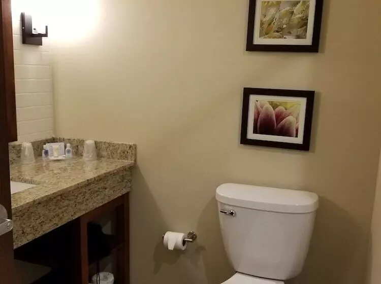 スイート, Comfort Suites University Brookings