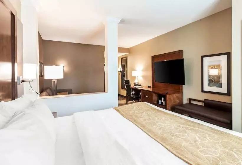 身障者適用スイートルーム, Comfort Suites University Brookings