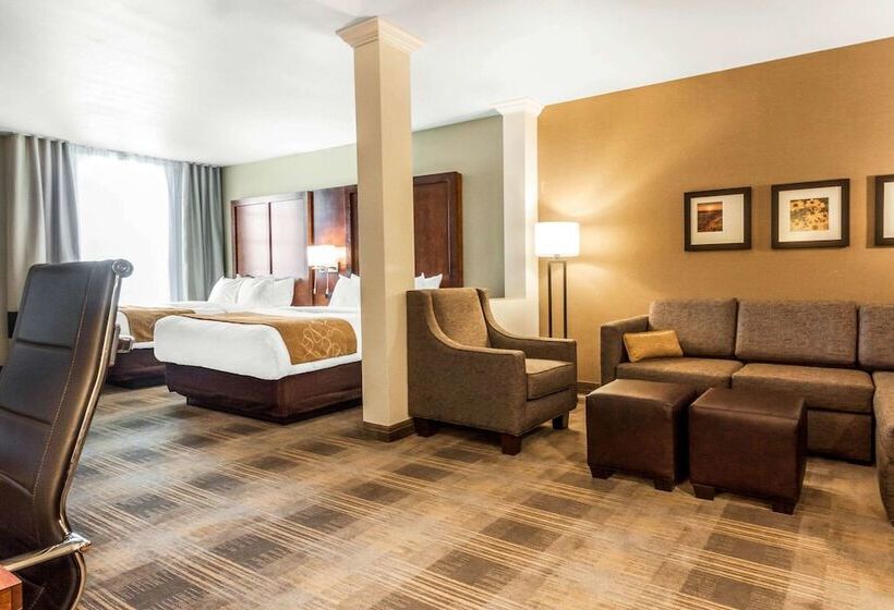 Люкс, Comfort Suites University Brookings