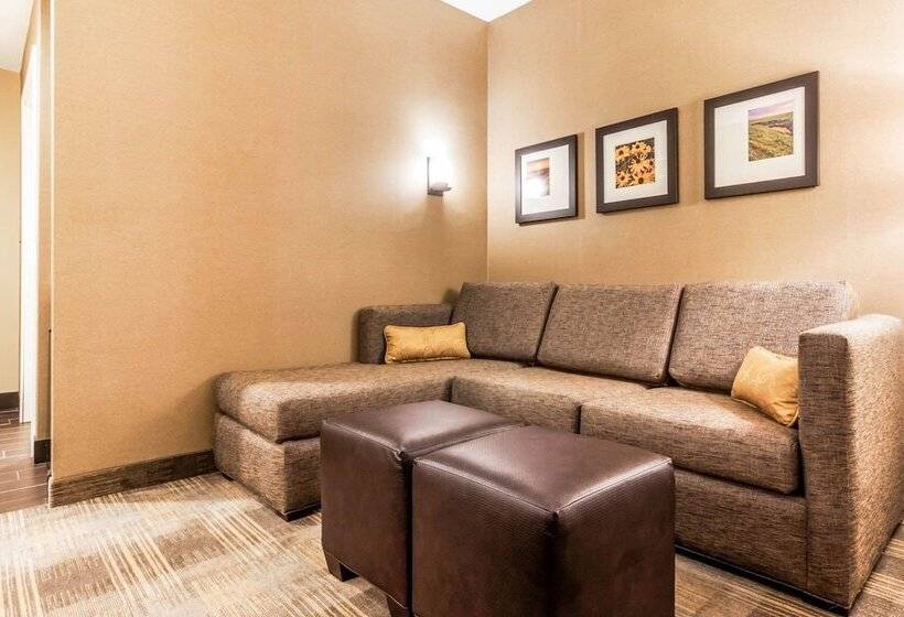 Люкс, Comfort Suites University Brookings