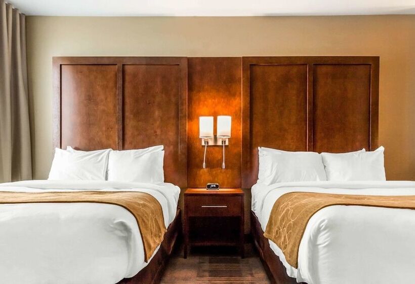 套房, Comfort Suites University Brookings
