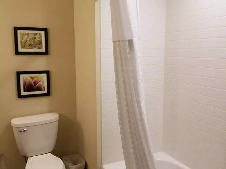 スイート, Comfort Suites University Brookings