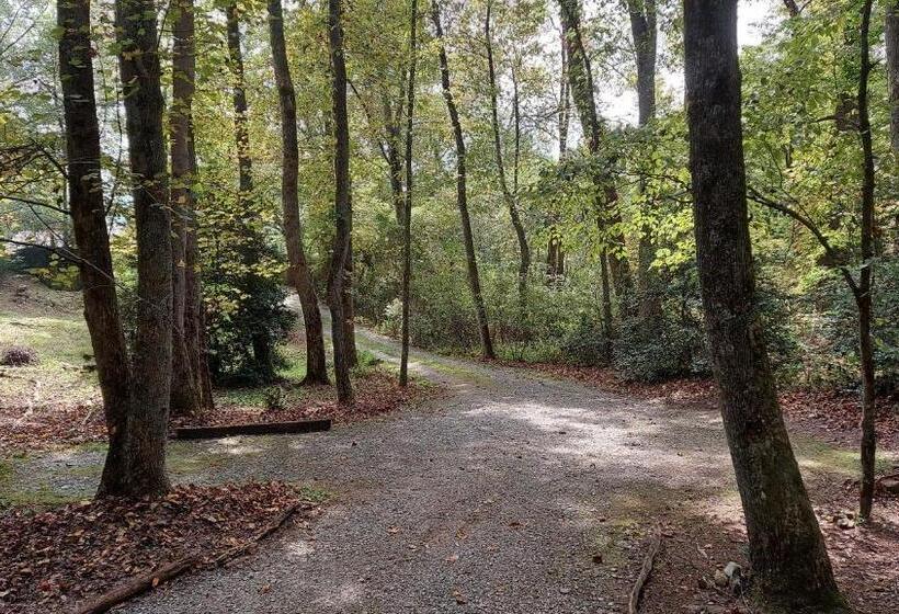 كابينة, Henson Cove Place Bed And Breakfast W/cabin