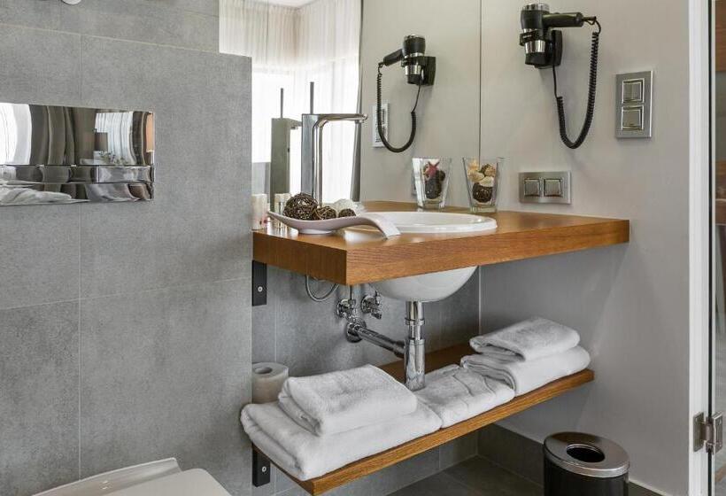 اتاق استاندارد با چشمانداز کوهستان, Kopieniec Fizjo  Med & Spa