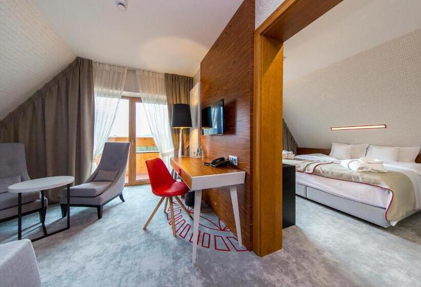 آپارتمان 1 خوابه, Kopieniec Fizjo  Med & Spa