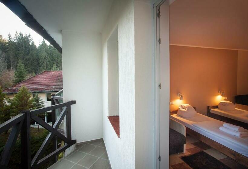 스탠다드 룸, Las Piechowice