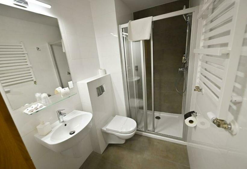 اتاق استاندارد, Rudnik