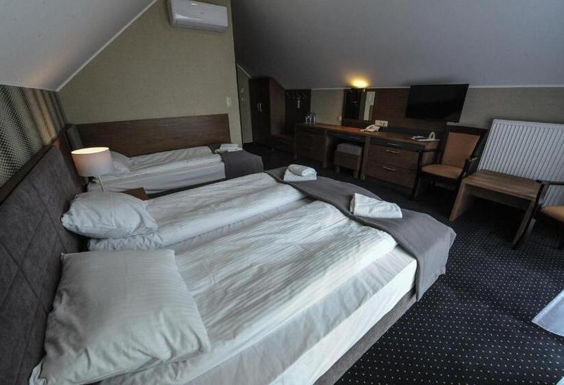 اتاق لوکس با بالکن, Rudnik