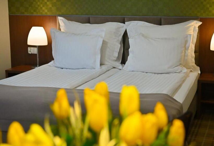 اتاق استاندارد, Rudnik