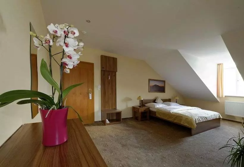 Deluxe-huone, Solisko