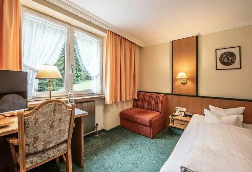 اتاق استاندارد یک نفره, Naturhotel Alpenblick