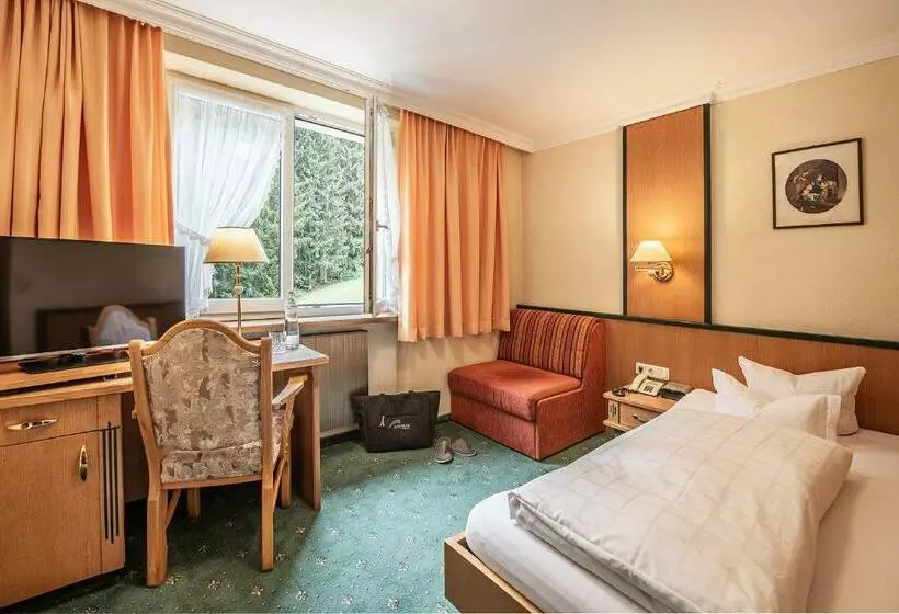 اتاق استاندارد یک نفره, Naturhotel Alpenblick