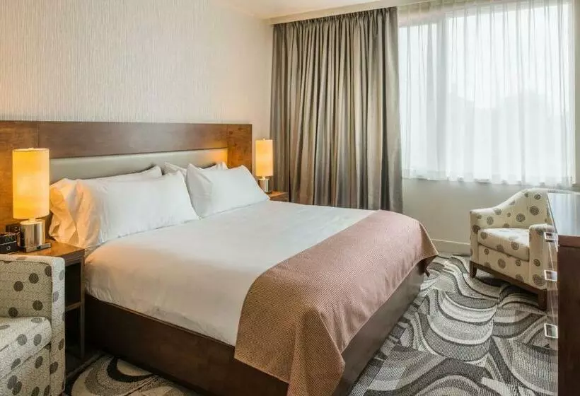身障者適用キングサイズベッドルーム, The Hotel At Oberlin