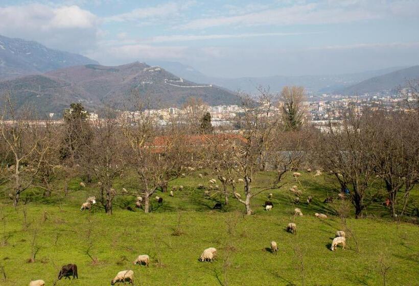 디럭스 전망 룸, Caledonia B&b