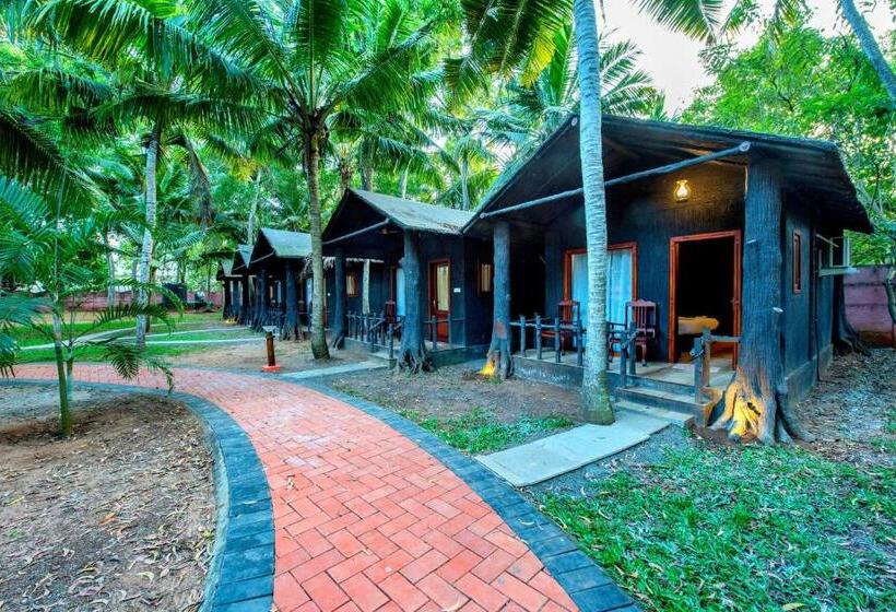 Номер Стандарт, Gogo Land Resort & Adventurous Sports