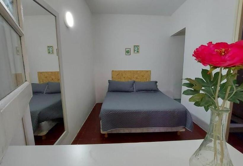 חדר סטנדרט, Hostel La Perla