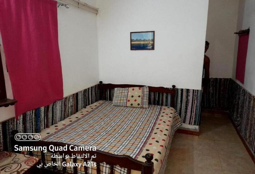 اتاق استاندارد یک نفره, Fighting Kangaroo Camp