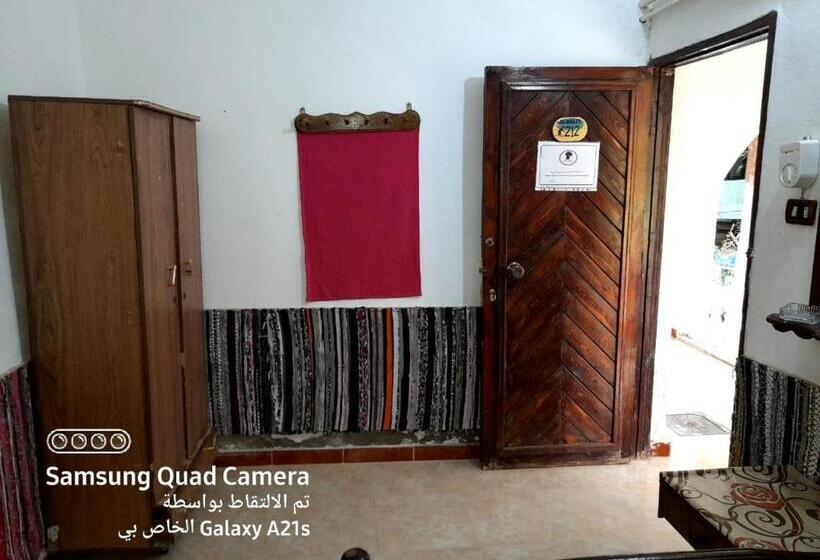 اتاق استاندارد یک نفره, Fighting Kangaroo Camp