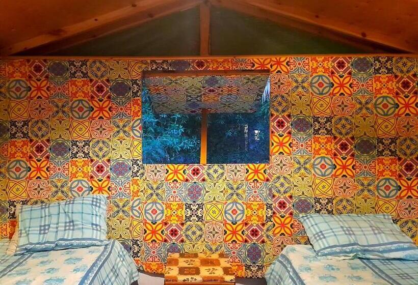 اتاق استاندارد با سرویس بهداشتی مشترک, Fighting Kangaroo Camp